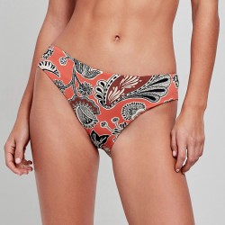 Braguita D