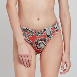 Braguita C