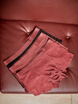 Pack Boxer