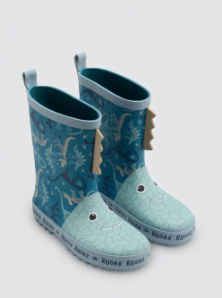 Botas de agua